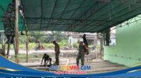 IMG-20260814-WA0209