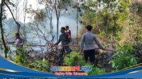 IMG-20260818-WA0110