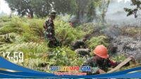 IMG-20260821-WA0125