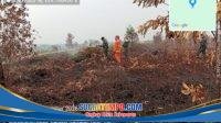 IMG-20260908-WA0096