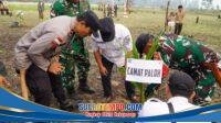 Jaga Kelestarian Lingkungan Jelang HUT TNI ke 81, Kodim 1208/Sambas Tanam 1.000 Pohon Kelapa dan Mangrove di Wilayah Perbatasan
