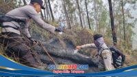 IMG-20260916-WA0009