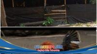 IMG-20260918-WA0007