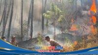 IMG-20260925-WA0016