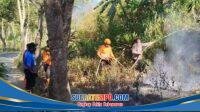 IMG-20260928-WA0017