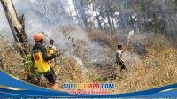 IMG-20260929-WA0019