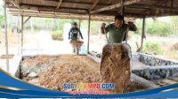 IMG-20261017-WA0076