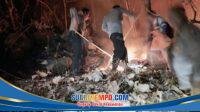 Polres Ponorogo Padamkan Karhutla di Pohgading