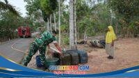IMG-20261022-WA0023