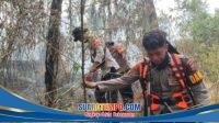 Polda Jatim dan Tim Gabungan Tangani Karhutla Gunung Arjuno Sisir 4 Wilayah