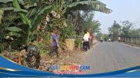 IMG-20261030-WA0063